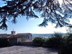 183 HYERES ET SES PALMIERS D13_000007